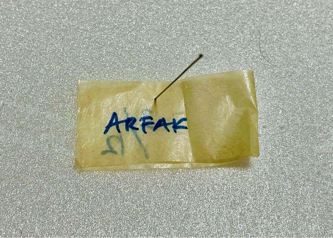 チトヌストリバネアゲハ（1メス・Arfak Mt INDONESIA産） チトヌストリバネアゲハ (メス)